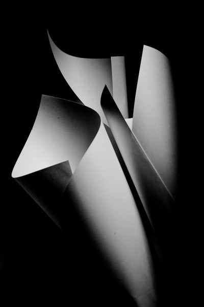 IMG4463-L.jpg