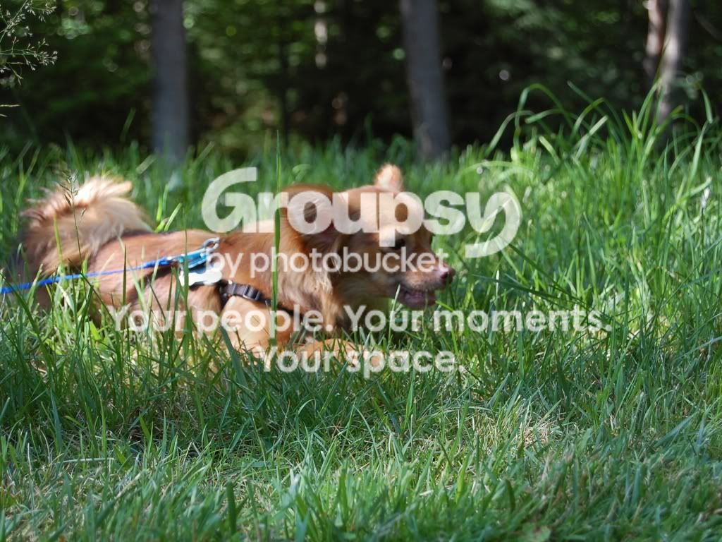 CSC_0043.jpg