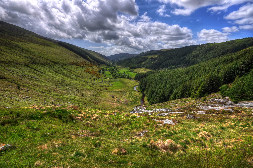 4701671349_105a7bbcfe_b.jpg