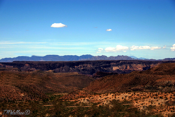 4819953742_1a51c0f19c_b.jpg