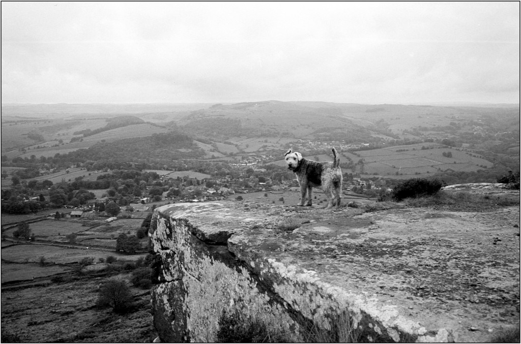 Orwo%20Curbar13-XL.jpg