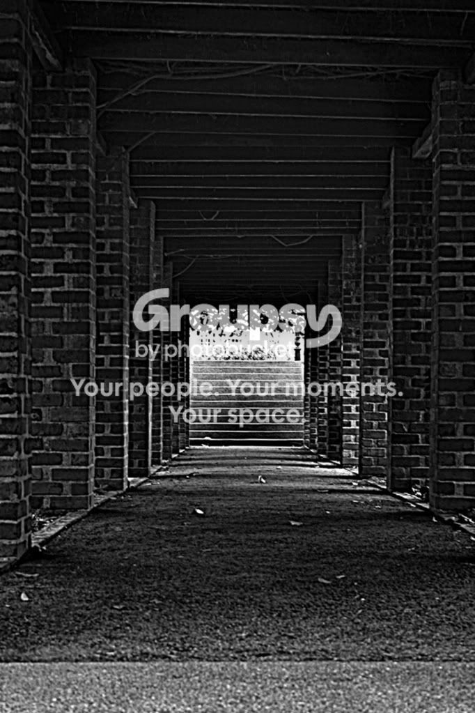 IMG_6882BW.jpg