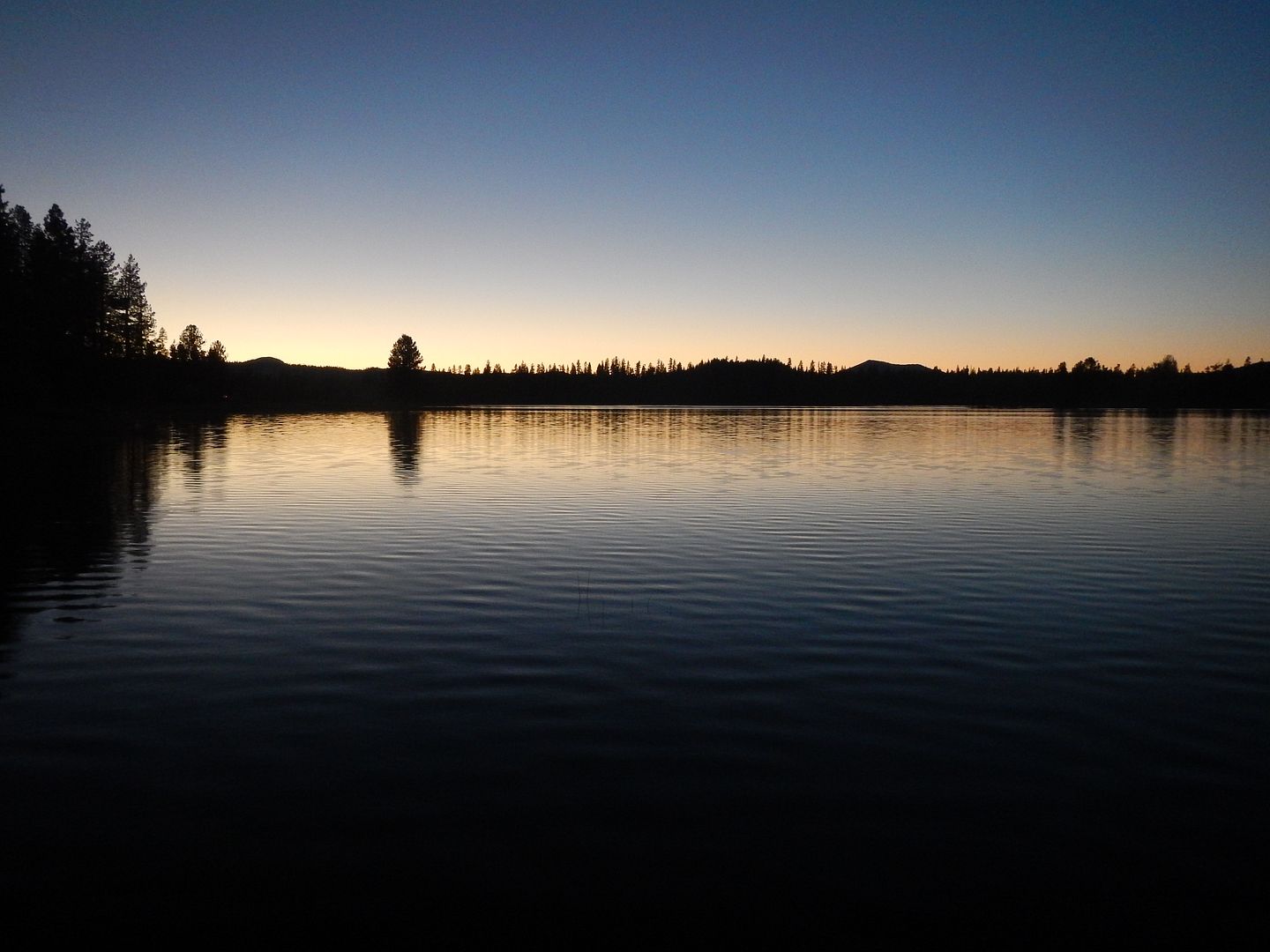 DSCN0795.jpg