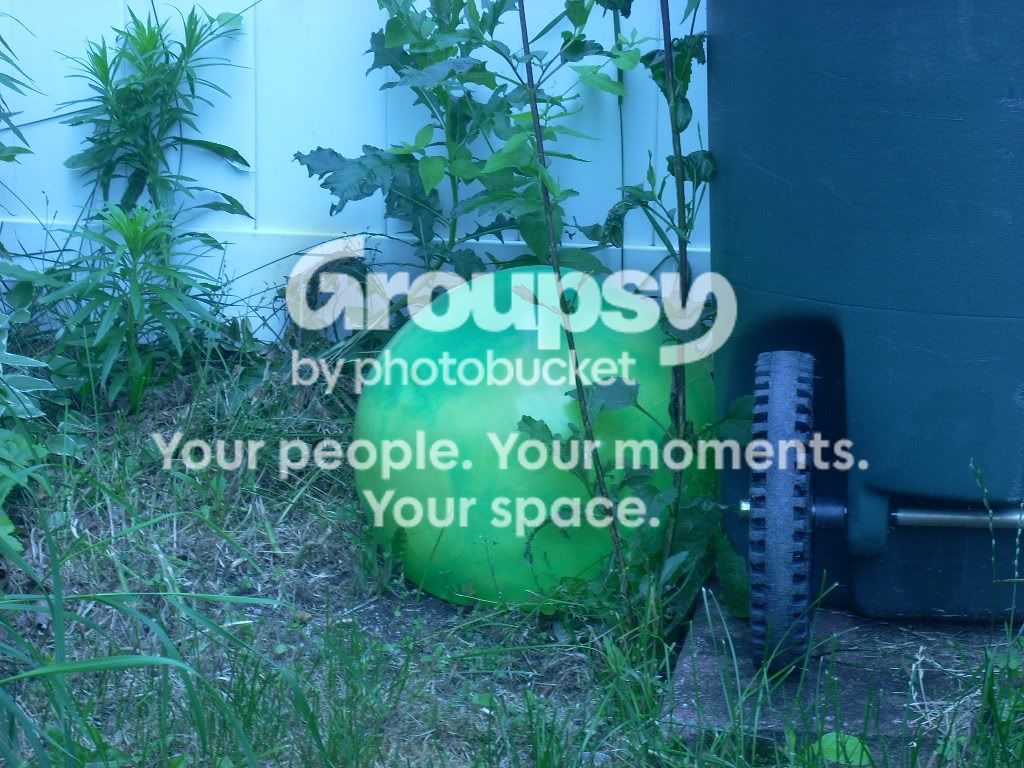 lonelyball.jpg