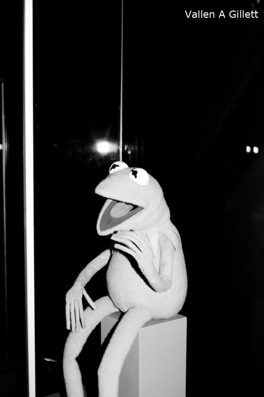 DSC_0091C.jpg