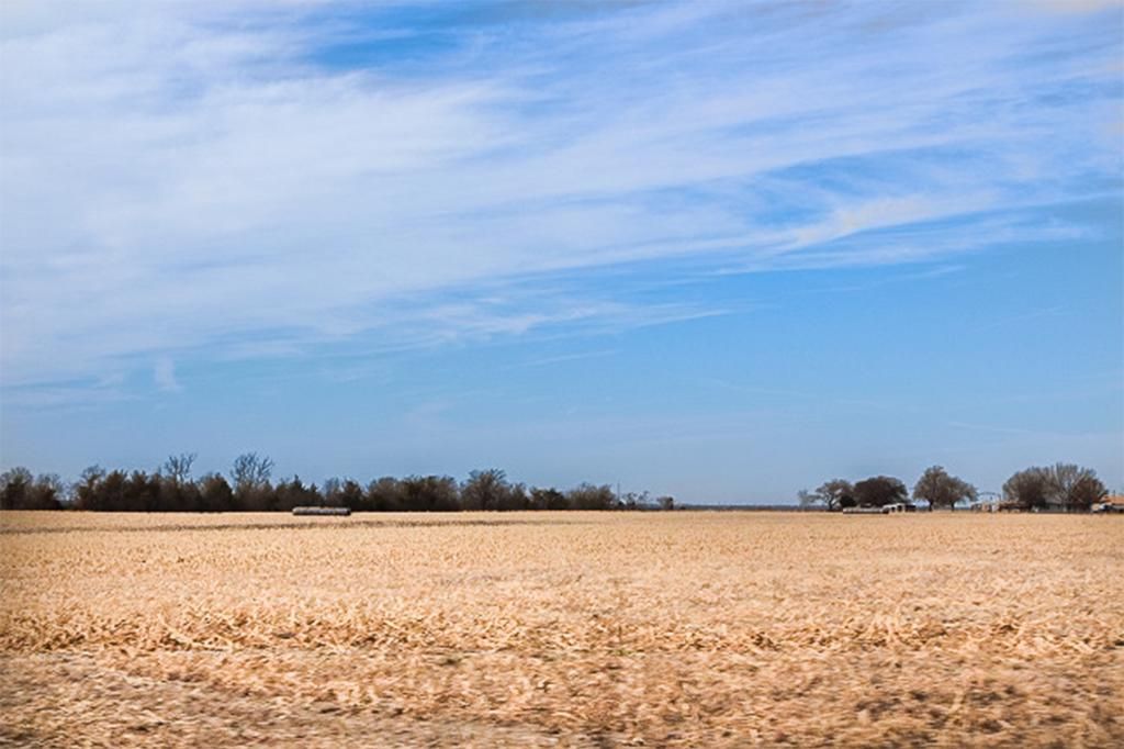 field1asSmartObject-1.jpg