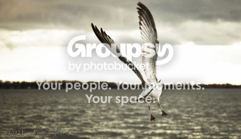HarbrFrnt2012-536-EDITED.jpg