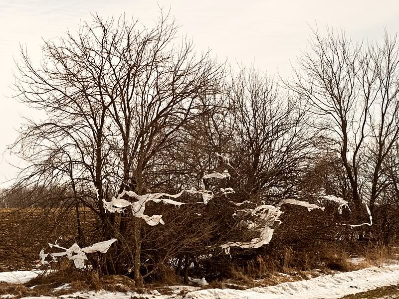 P1050518sm.jpg