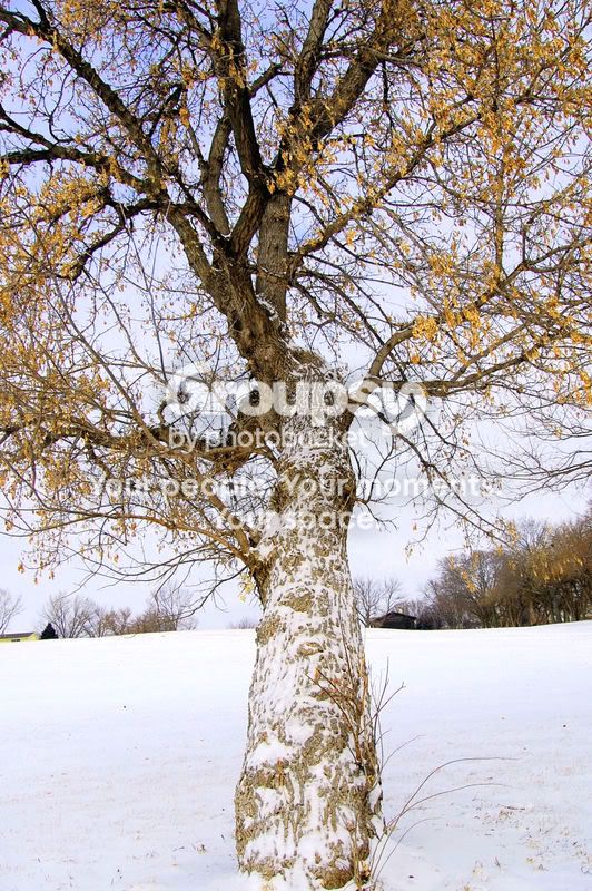winter-174-1.jpg