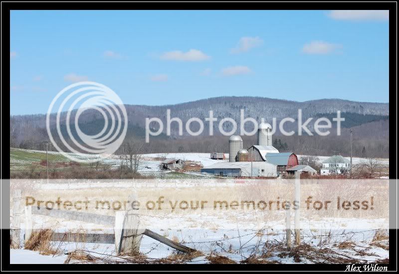 DSC_0115.jpg