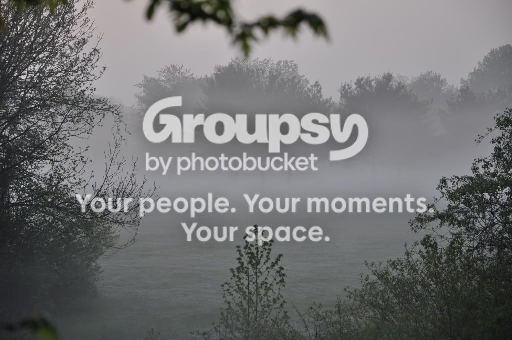 fogweb.jpg