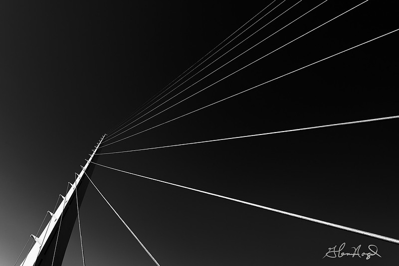 p2507959255-4.jpg
