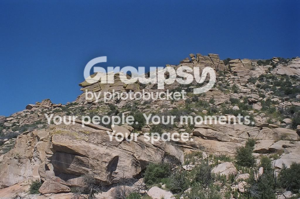 75800021.jpg