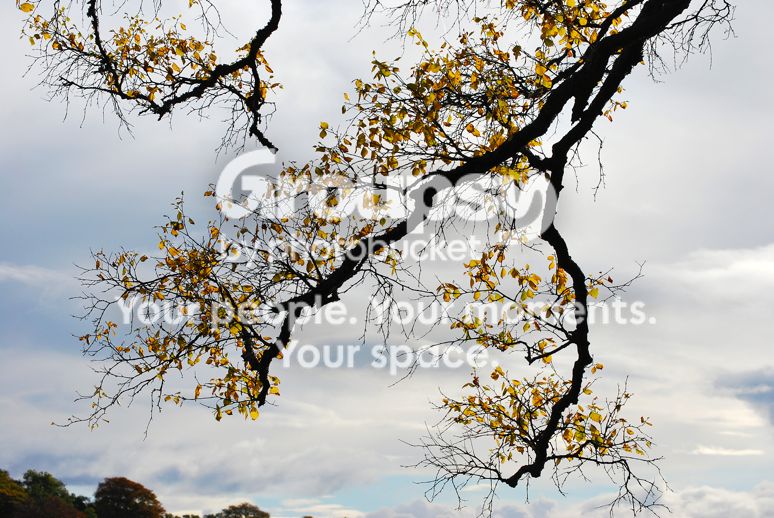 DSC_0031.png