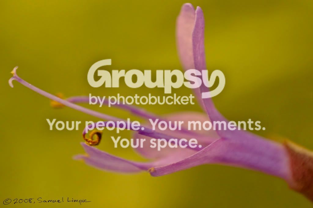 _IGP6604.jpg