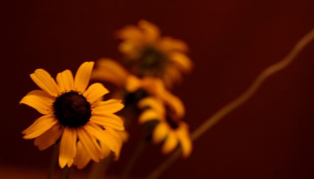 flowersontable0001_1.jpg