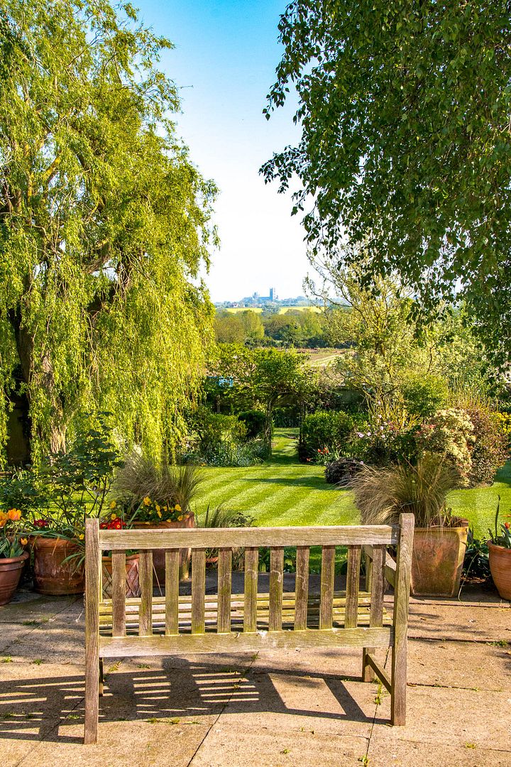 garden4_zps2hfsvv43.jpg