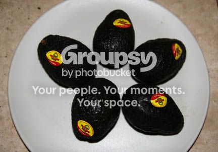 IMG_9875.jpg
