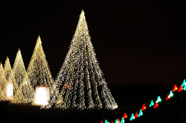 DSC_0367.jpg