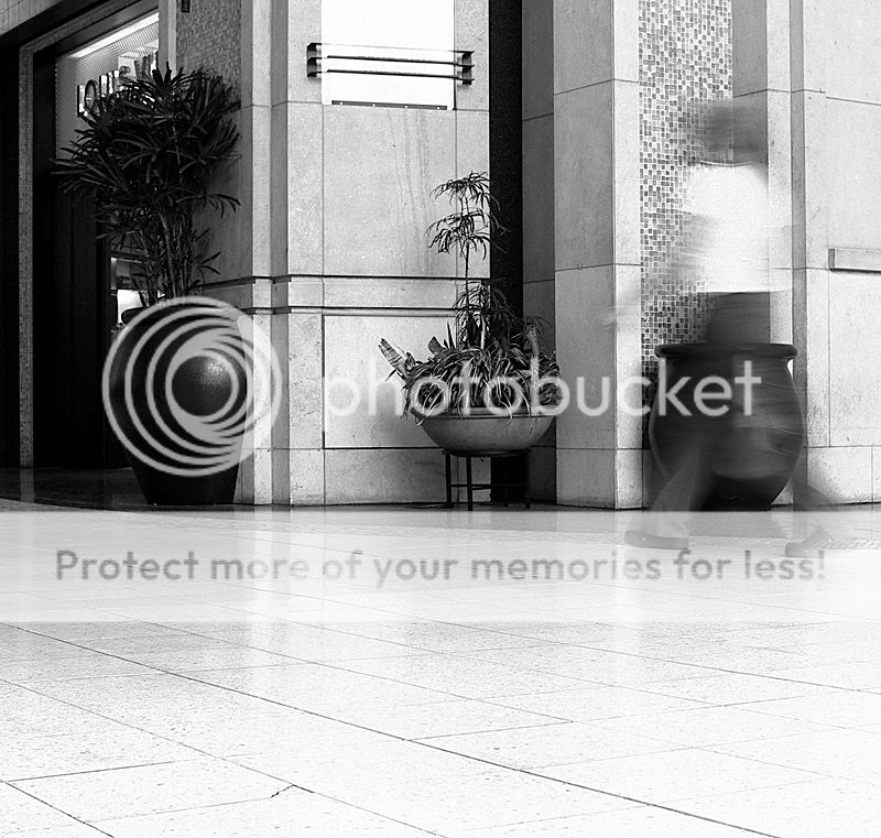 motionblur1.jpg