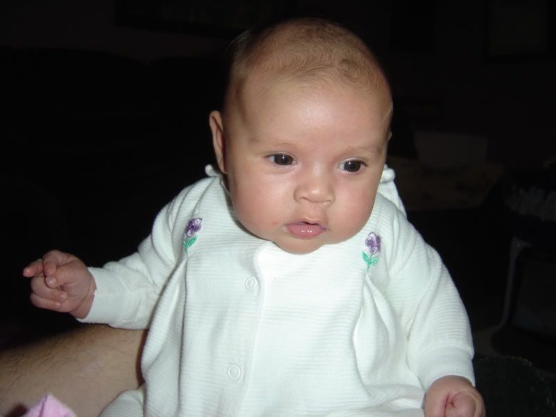 DSC083260881websize.jpg