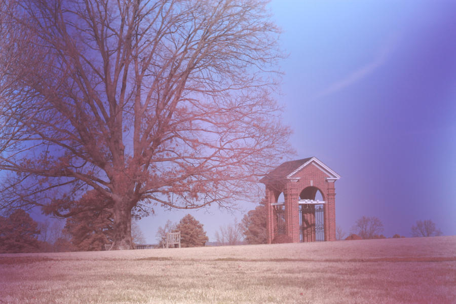 bell_tower_by_er111a-d4lmu4m.jpg