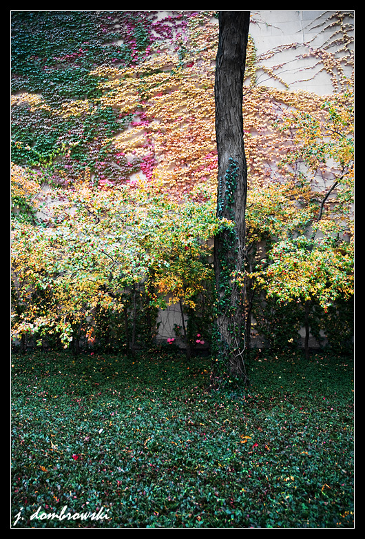Color%20Wall%20jpeg.JPG