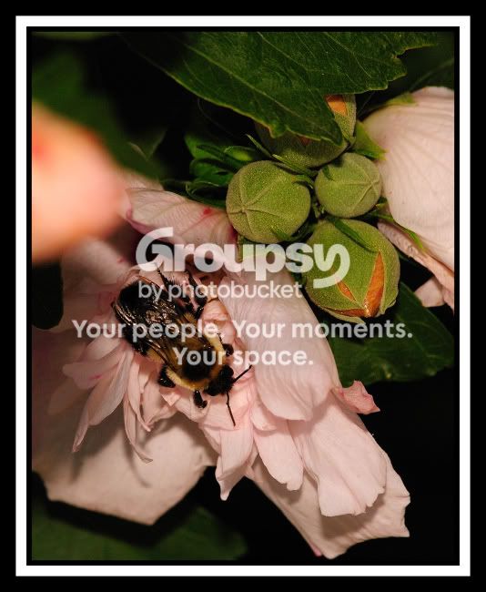 2008-07-26_1_1web.jpg