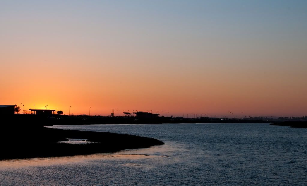 20090705-_DSC0748.jpg