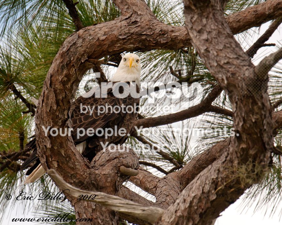 _ECD4282-copy900.jpg