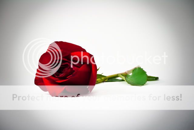 IMG_0006.jpg