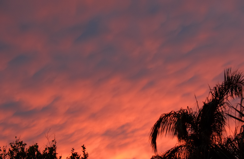 Sky.jpg