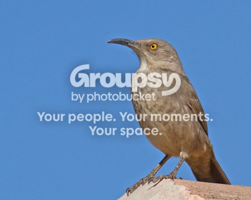 IMG_7647-Edit.jpg