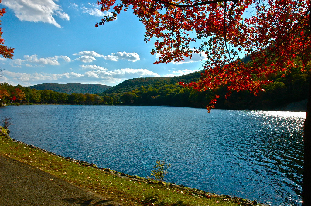 5099032787_f30ed032ac_b.jpg