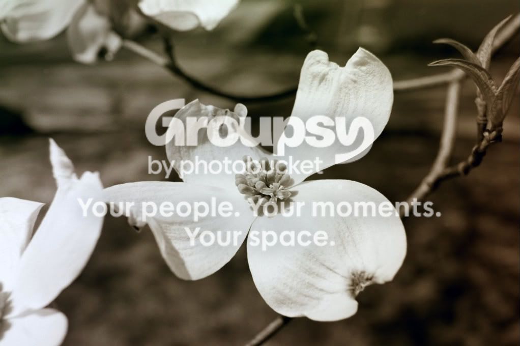 IMG021.jpg