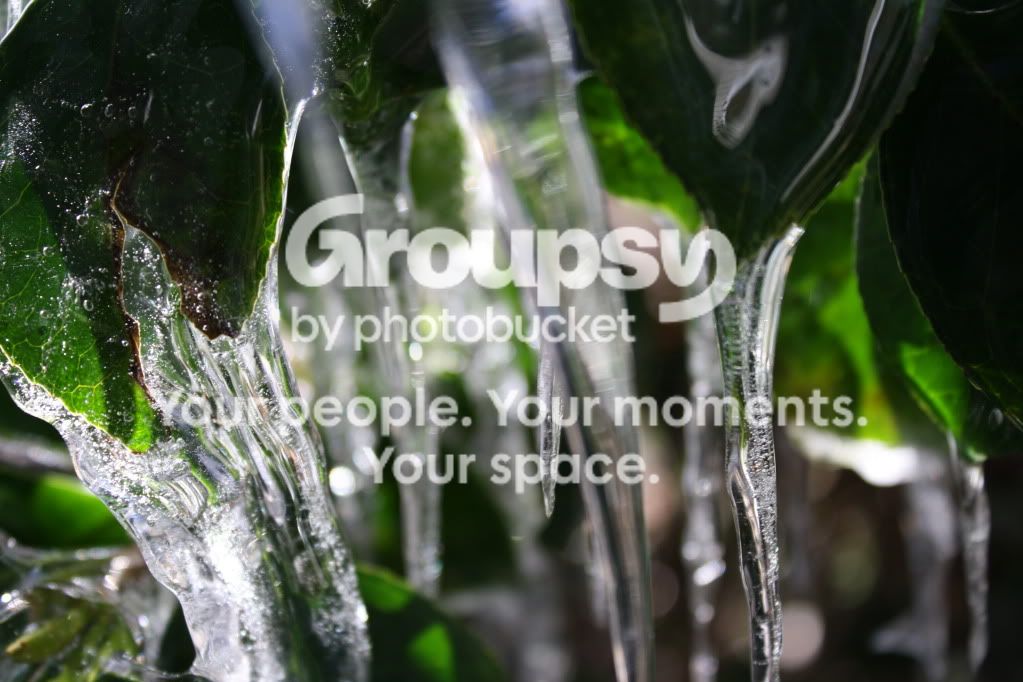 RebelPhotos030.jpg