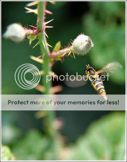 IMG_5766small.jpg