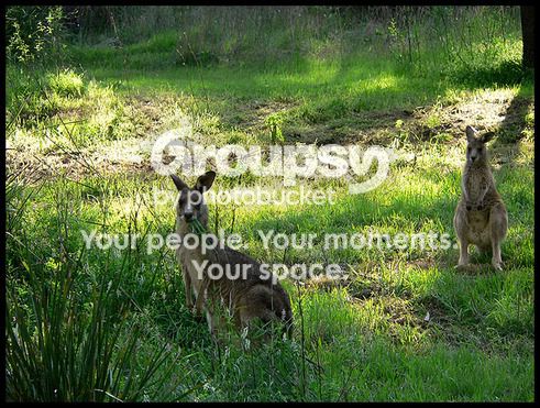 Namoi_070_S.jpg