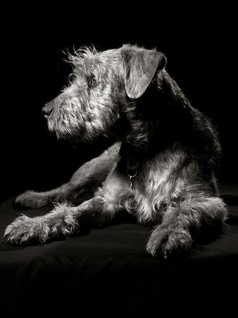 IMG3977b-w-M.jpg