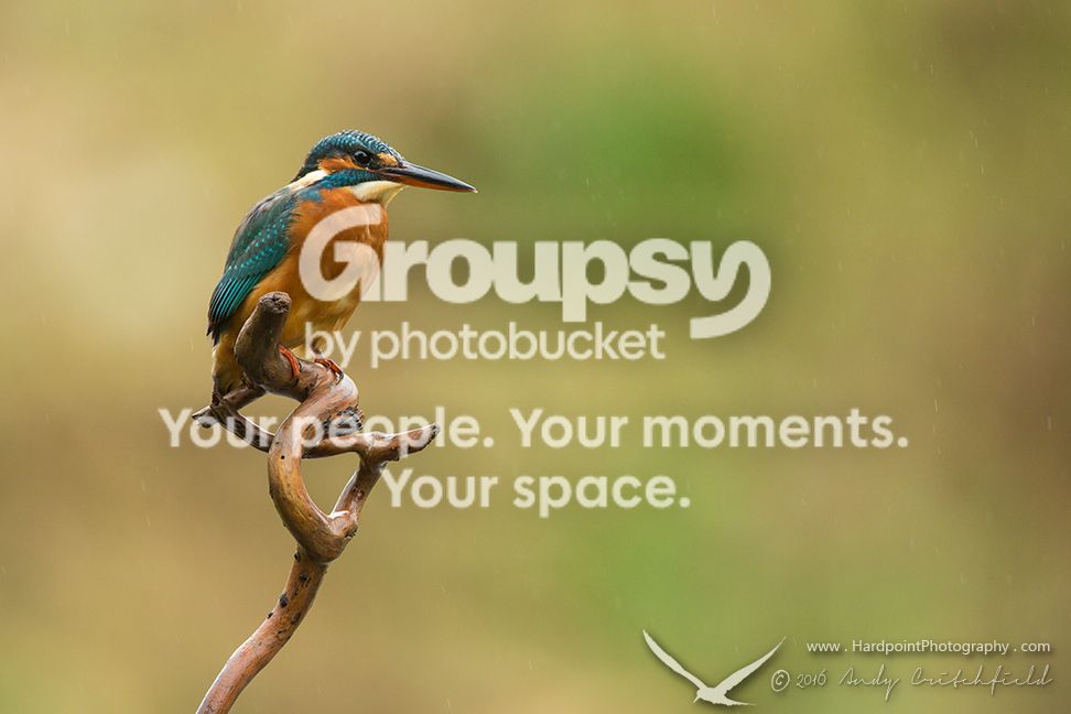 _HPP6449_zpstkcnmwk7.jpg