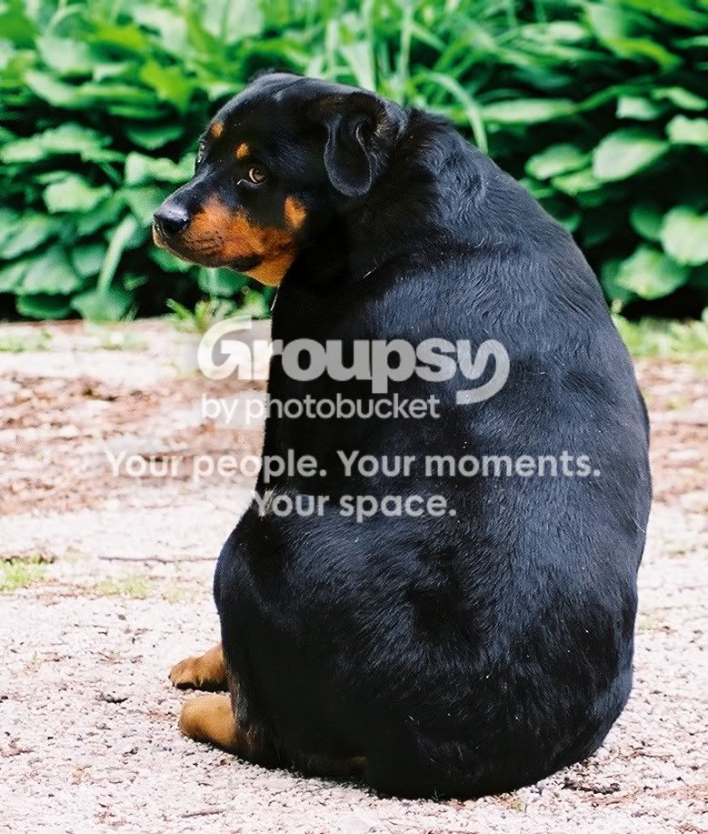mindy1.jpg