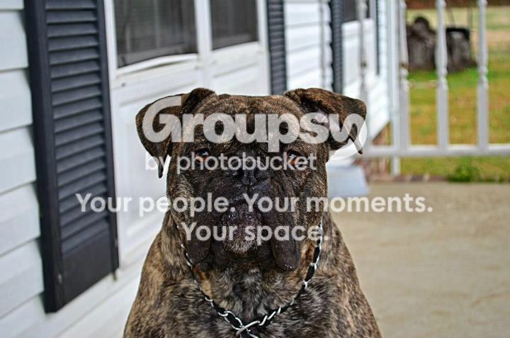image_zps507af894.jpeg