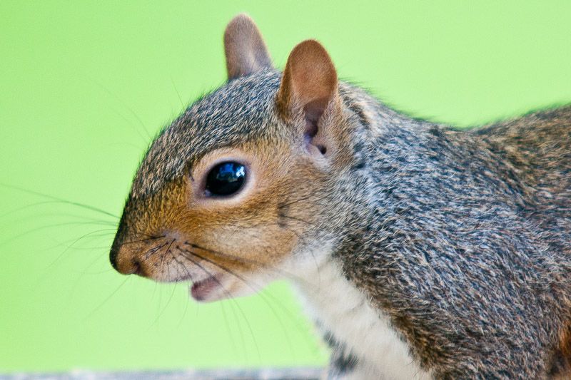 191010squizzle9.jpg
