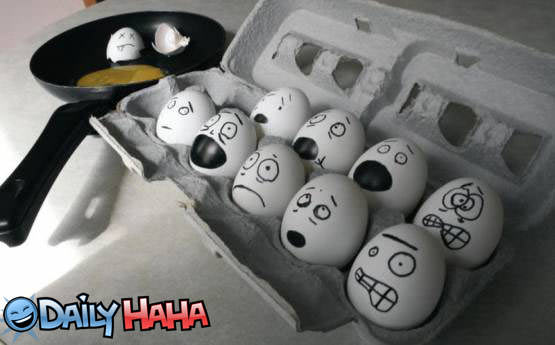 egg_faces.jpg
