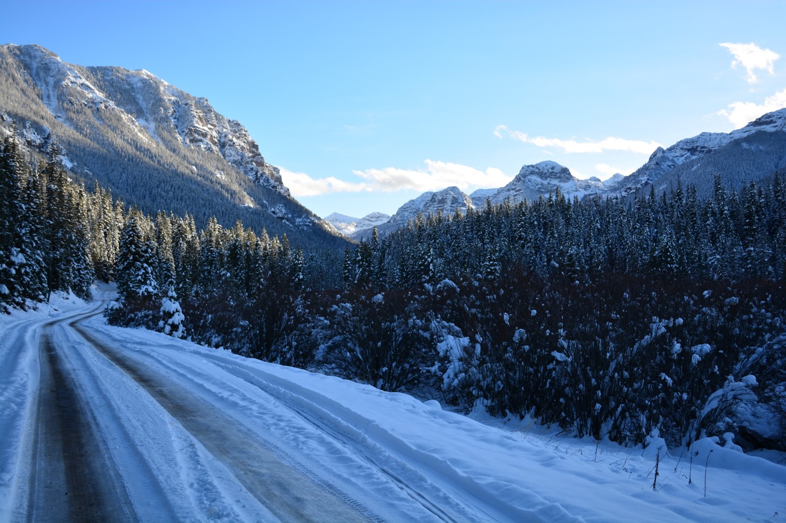 DSC_0269.JPG