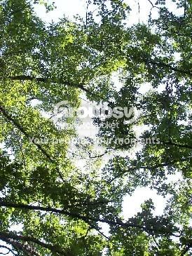 100_0178.jpg
