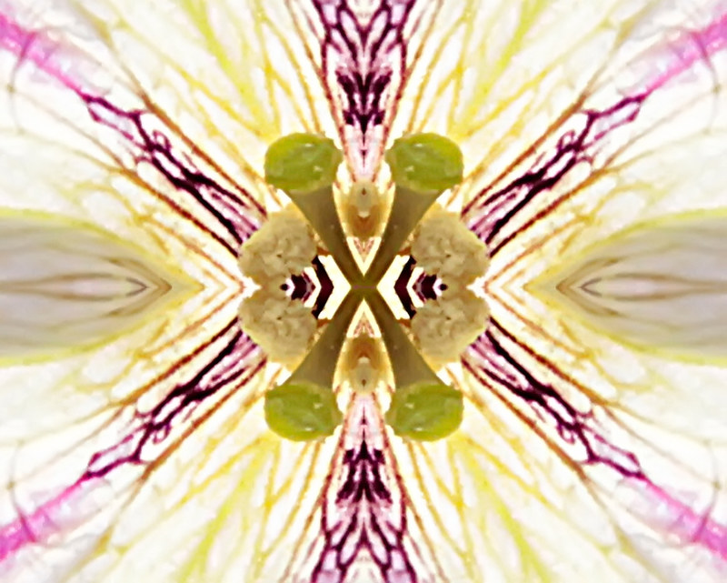 7923323928_8b00d1644f_c.jpg