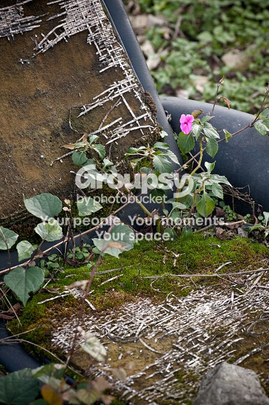 DSC_5554_2.jpg