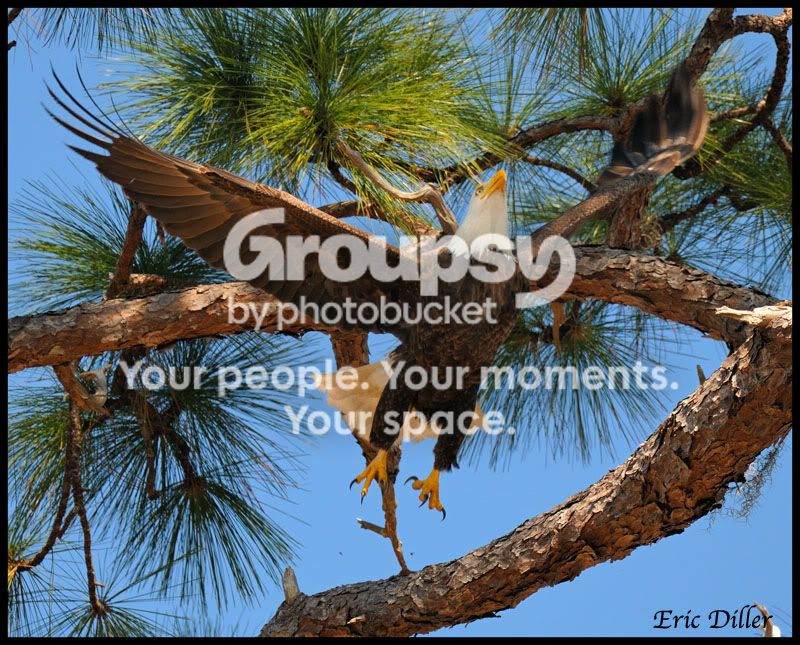 PIC_9977copy.jpg