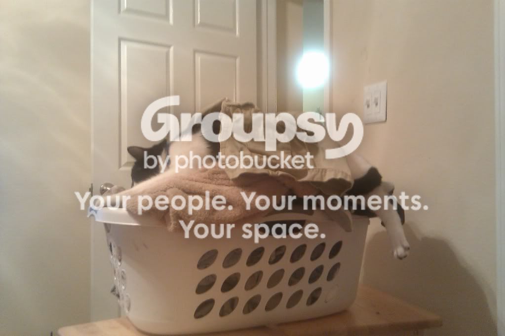 IMAG0096.jpg